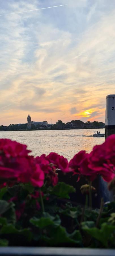 Zen B&B Dordrecht Dış mekan fotoğraf