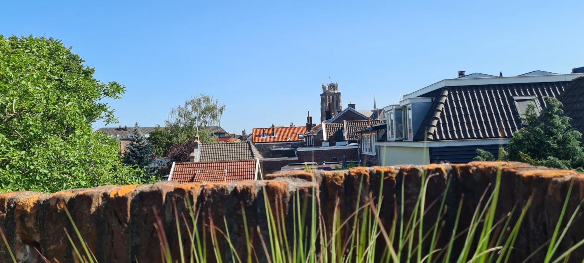 Zen B&B Dordrecht Oda fotoğraf